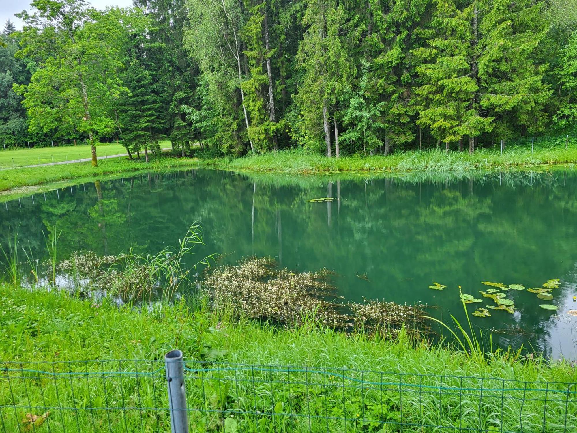 Apartment A&g Camp Sveciu Namelis Plunge